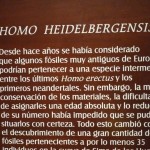 Heidelberg in Mexico DF
