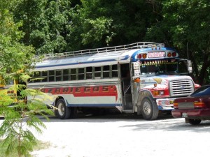 Chicken Bus